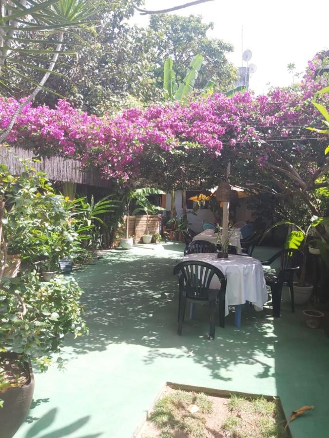Pousada Terra Do Sol Pipa Praia de Pipa ภายนอก รูปภาพ
