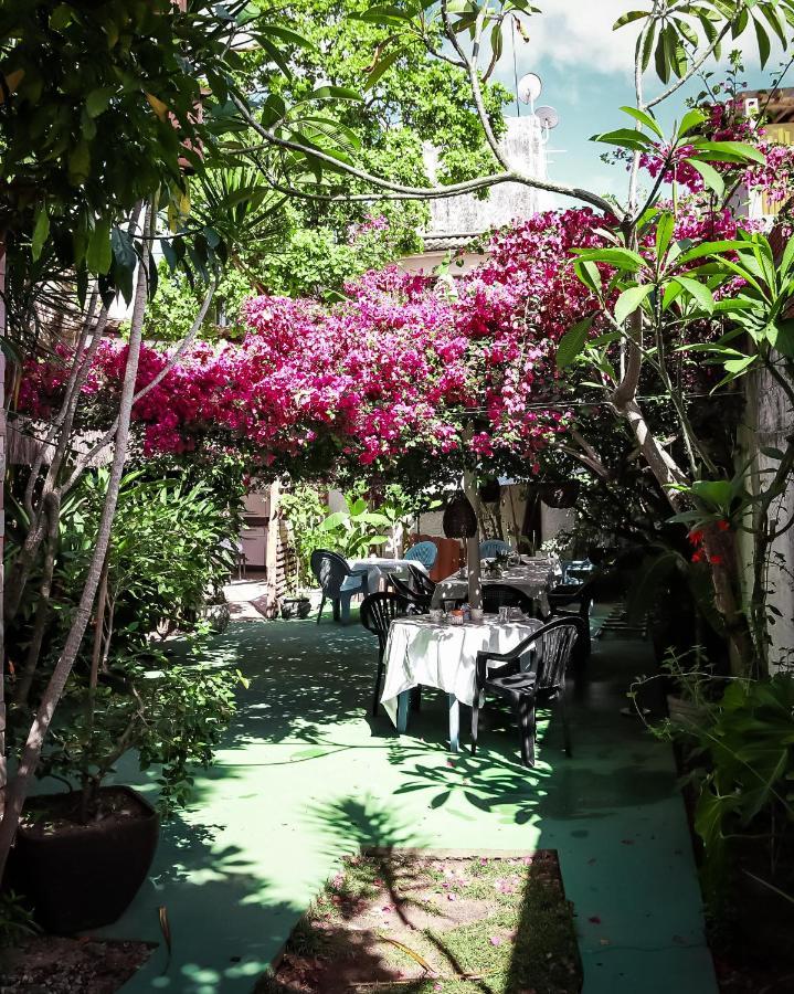 Pousada Terra Do Sol Pipa Praia de Pipa ภายนอก รูปภาพ