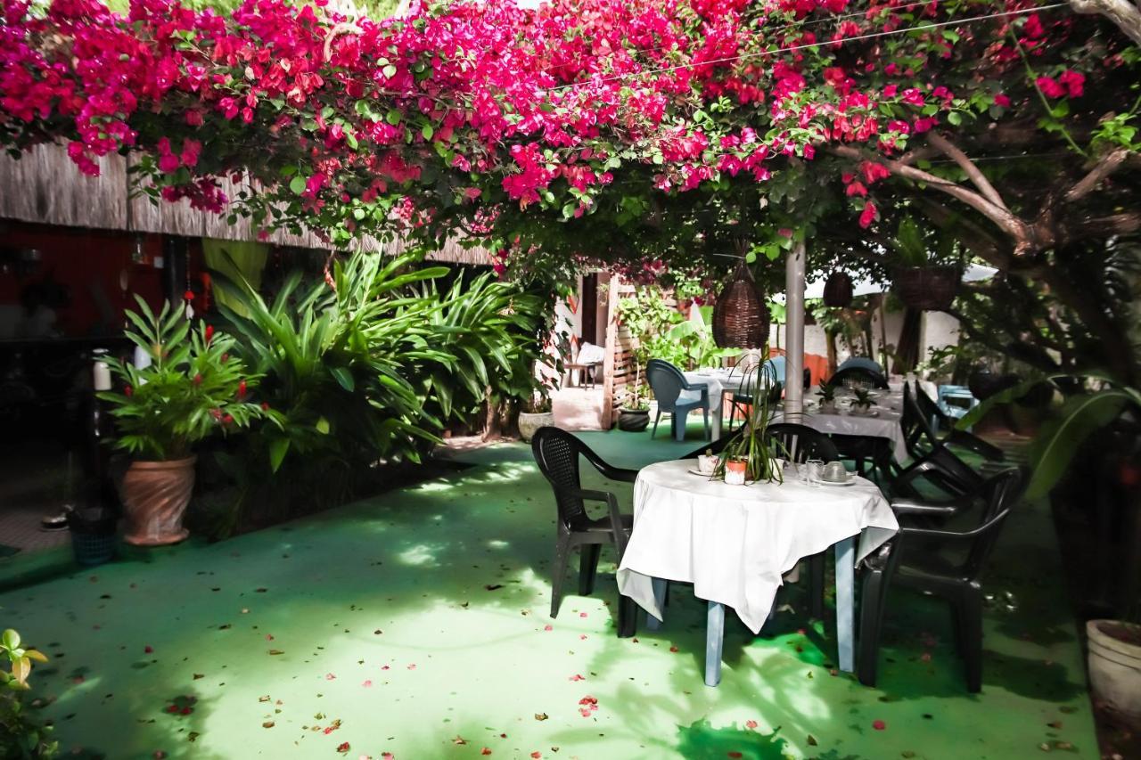 Pousada Terra Do Sol Pipa Praia de Pipa ภายนอก รูปภาพ
